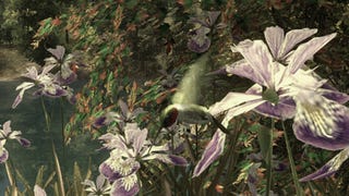 Walden, A Game: hummingbird spying as Henry David Thoreau