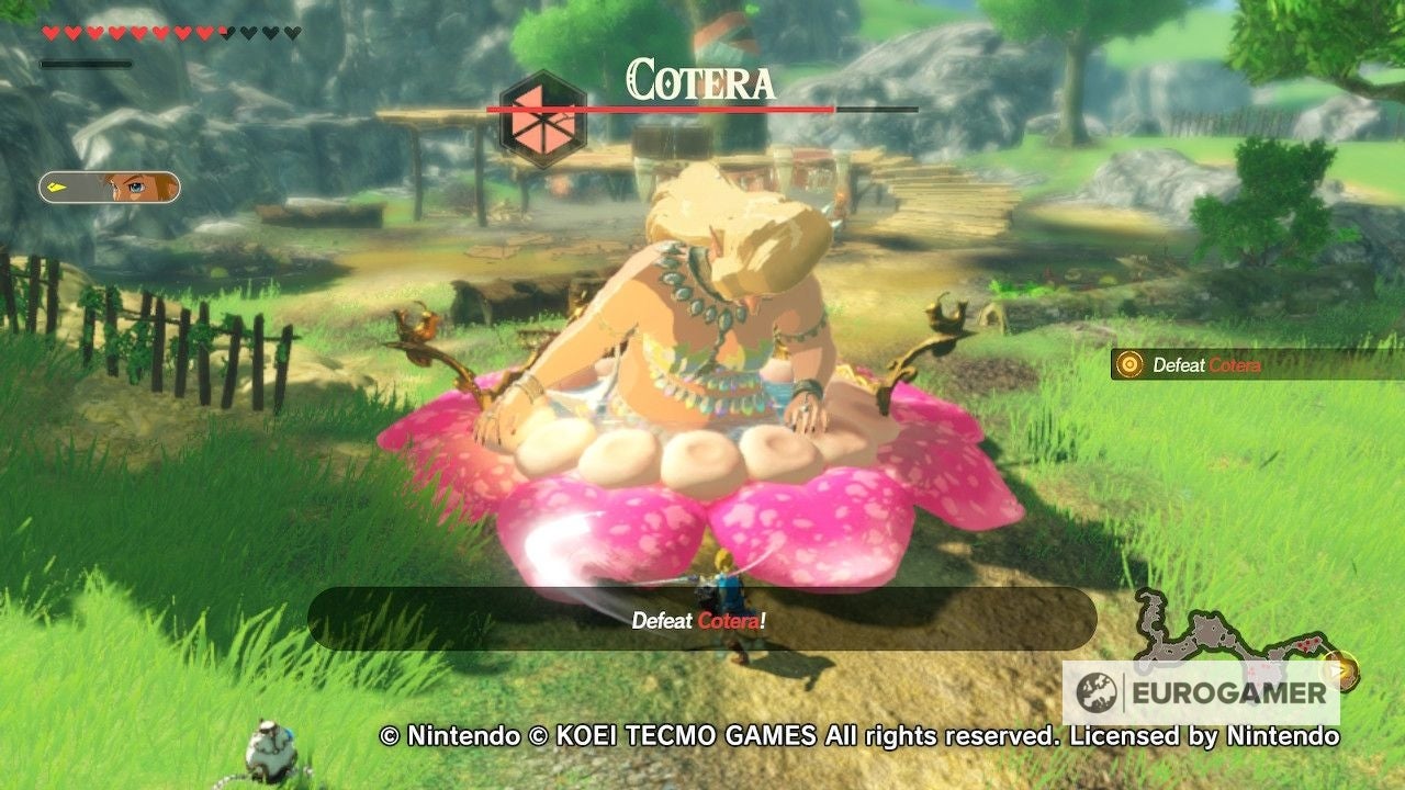 Hyrule Warriors - Great Fairy guide: How to complete each Fairy