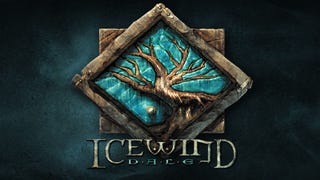 This video shows you what the Icewind Dale: Enhanced Edition looks like