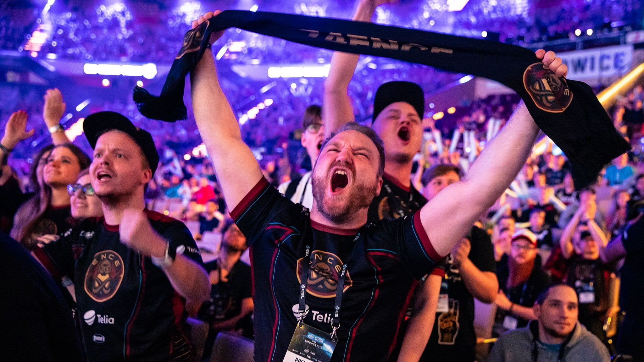 Iem Rocks IEM Katowice | Rock Paper Shotgun