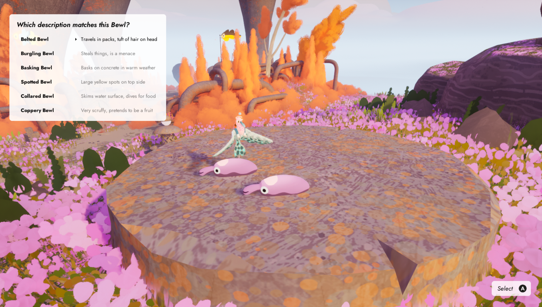 Discovering Bewls in Flock