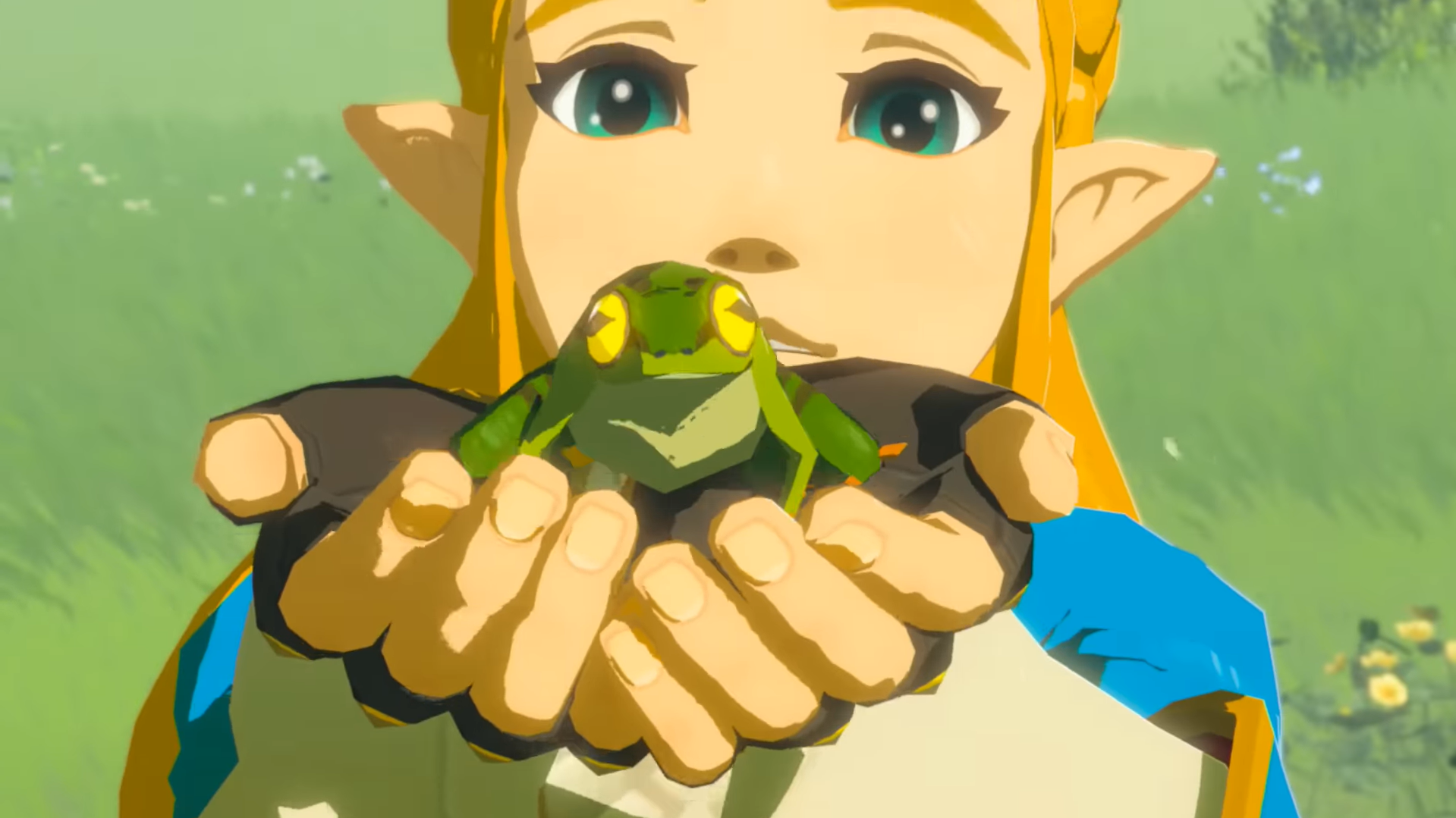 Princess Zelda holds a frog up to Link (the camera) in Legend of Zelda: Breath of the Wild