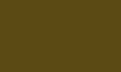 A variant of Pantone 448c.