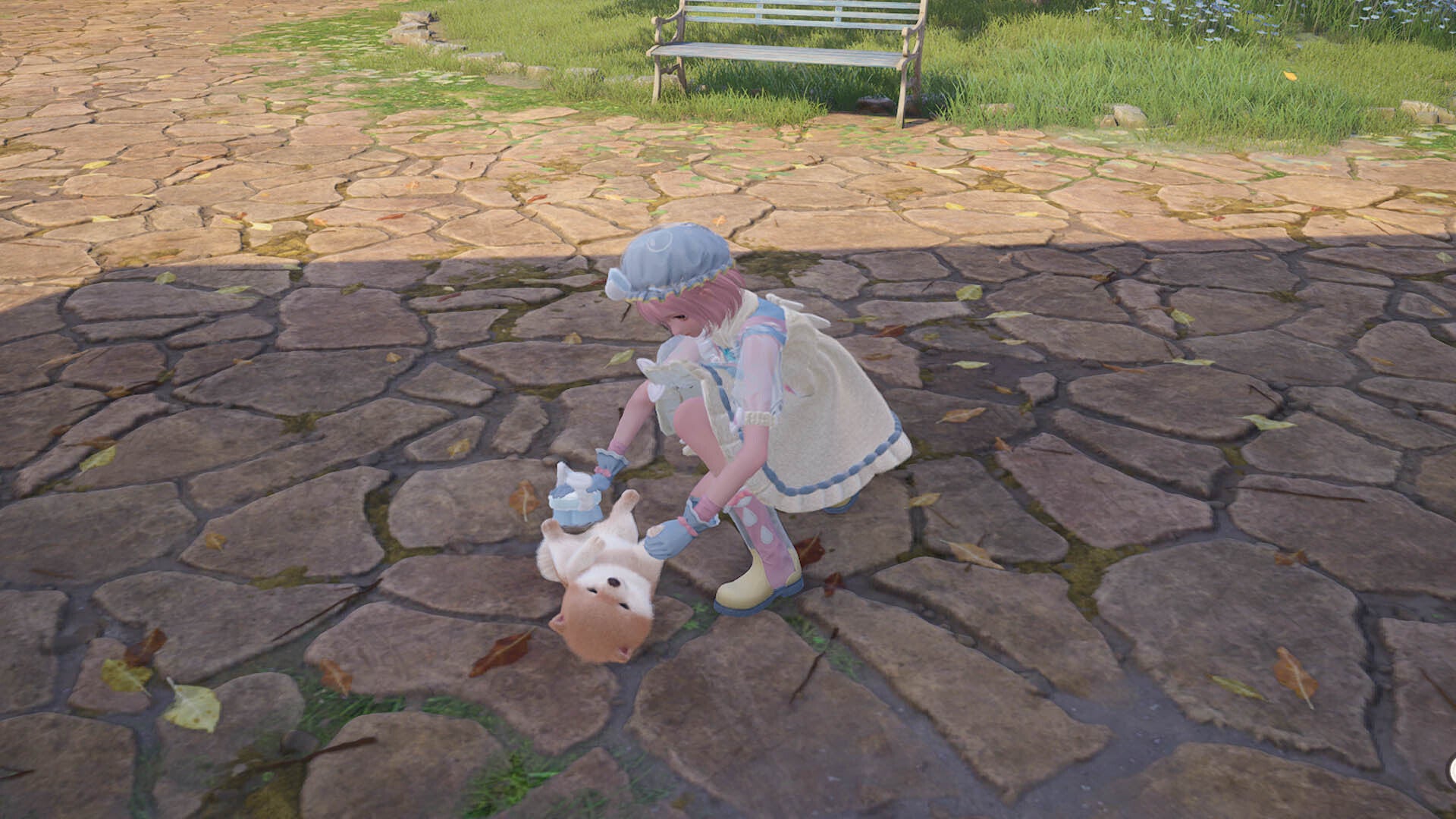 infinity nikki brushing a floof