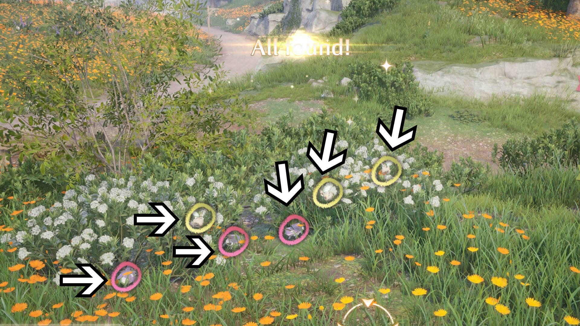 How to complete the Daytime Insects Photo Investigation in Infinity ...