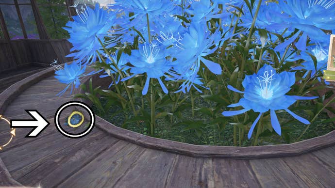 infinity nikki lost item photo investigation brooch location