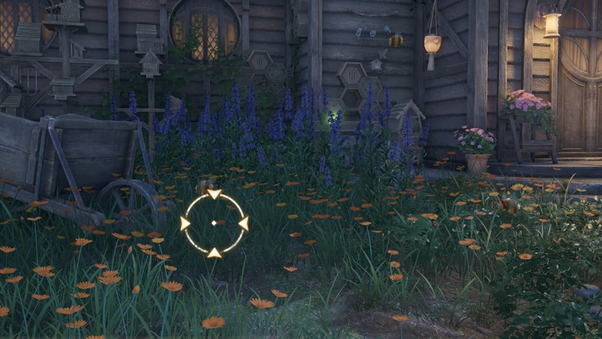 How to complete the Nighttime Insects Photo Investigation in Infinity ...