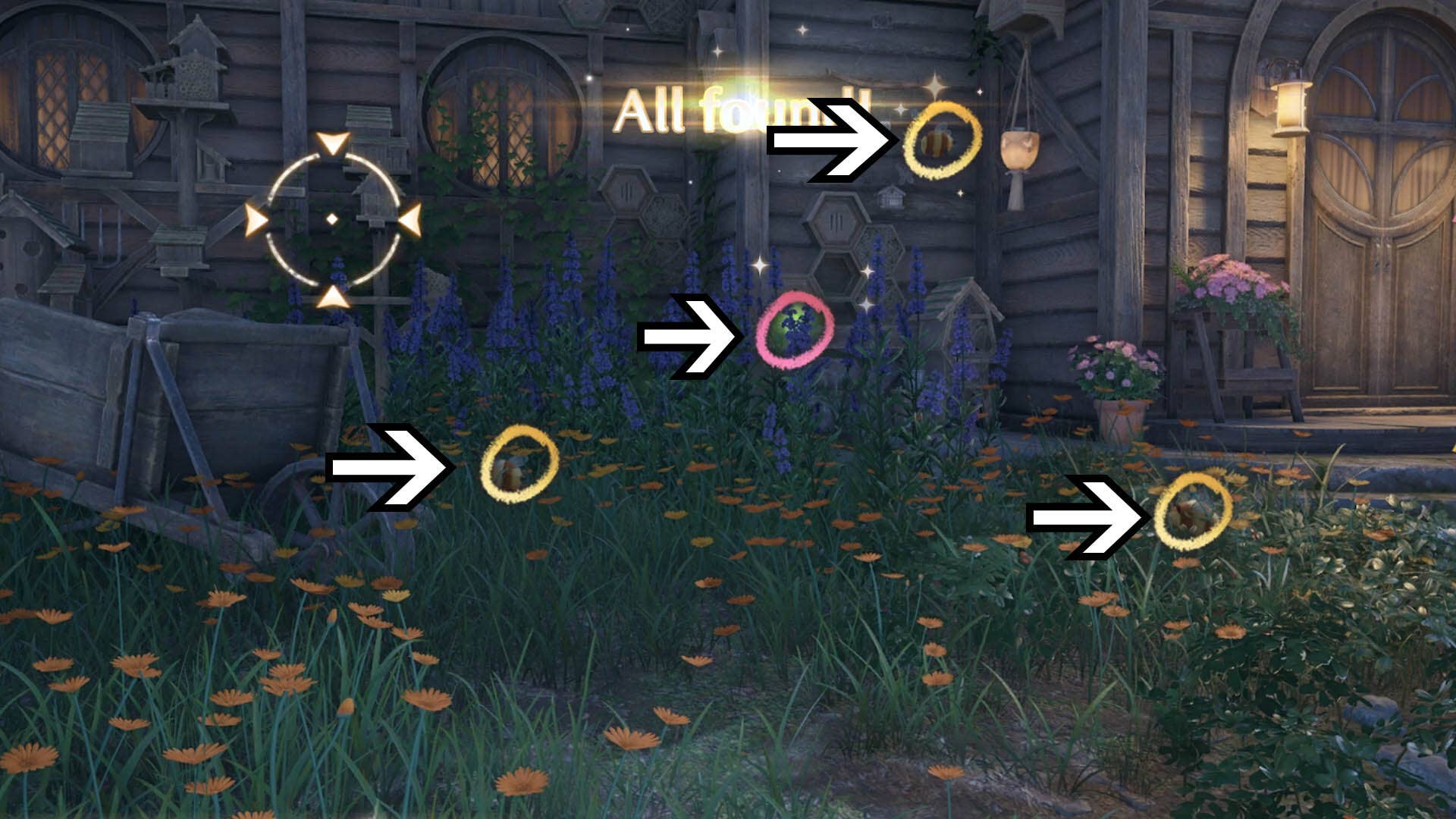 How to complete the Nighttime Insects Photo Investigation in Infinity ...