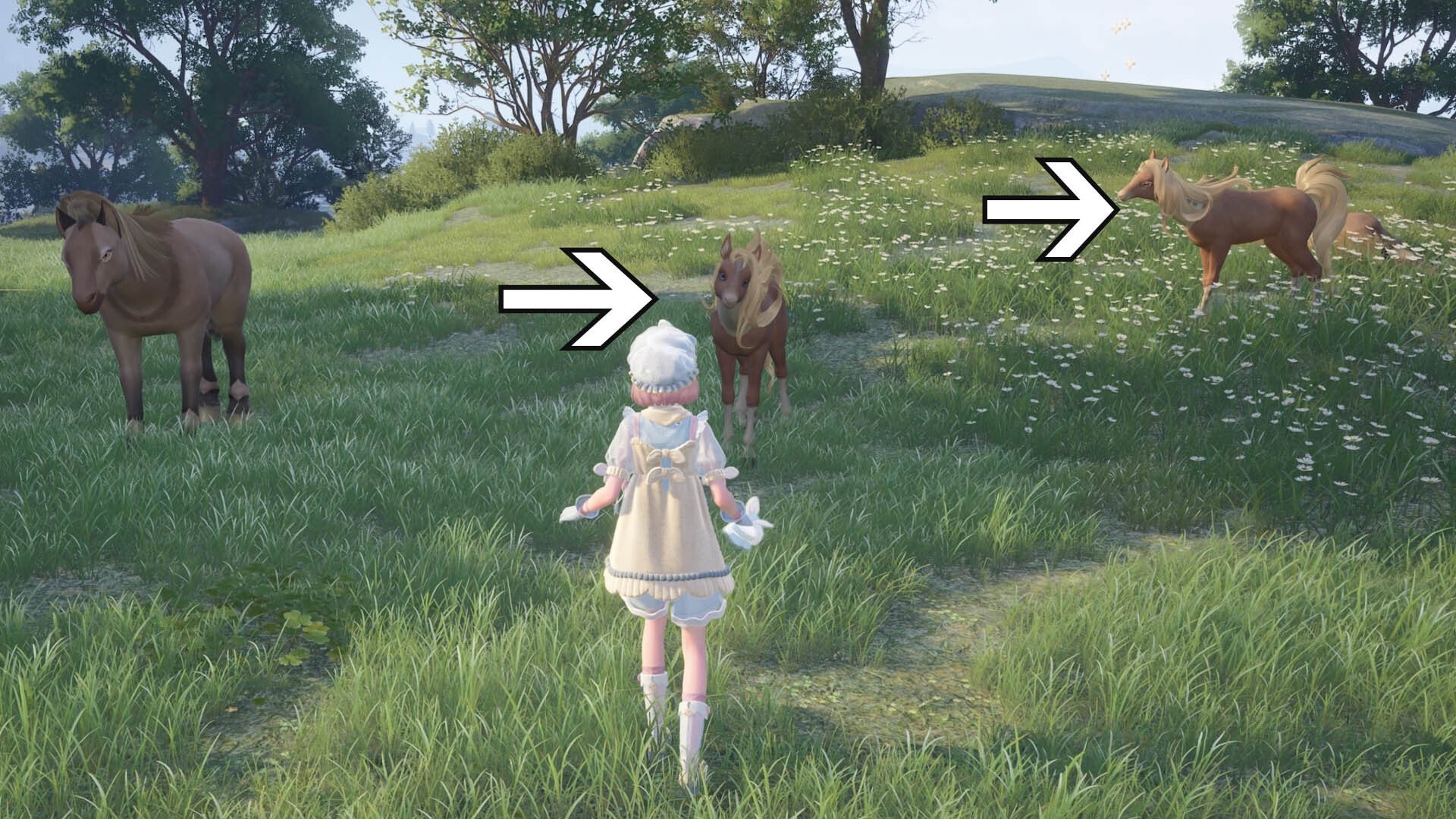 infinity nikki noble ponies against normal horse