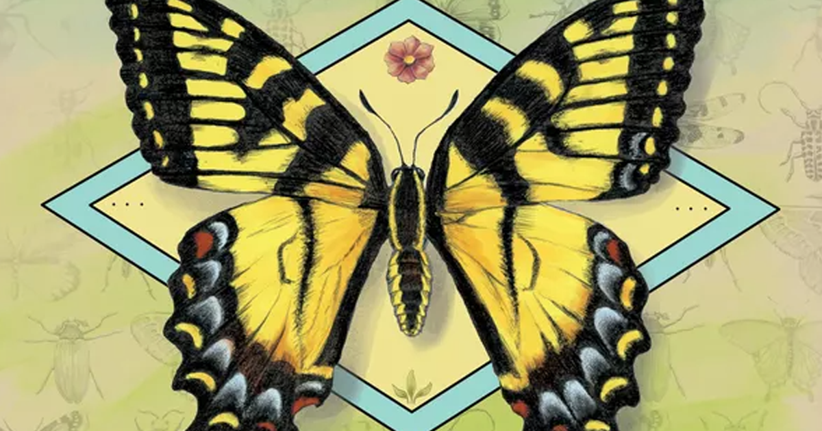 Bug board game Insectarium could do for insects, what Wingspan did for ...