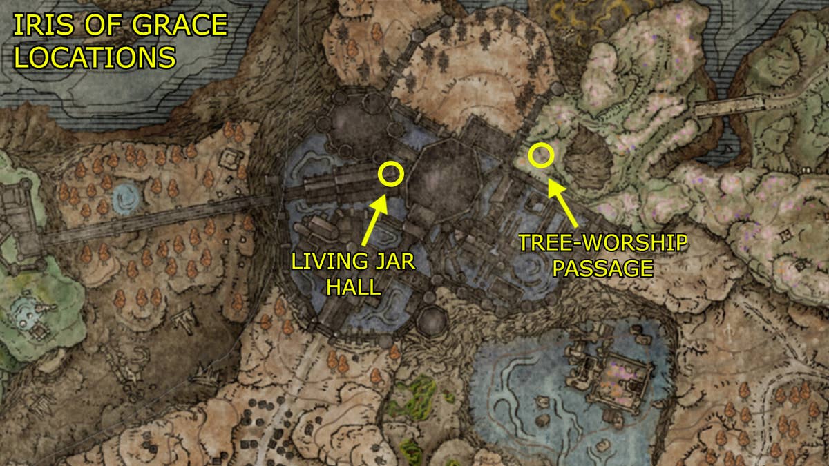 Iris Of Grace locations in Elden Ring: Shadow Of The Erdtree