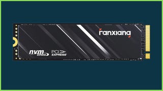 The Fanxiang S501Q NVMe SSD