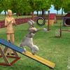 Capturas de pantalla de The Sims Pet Stories