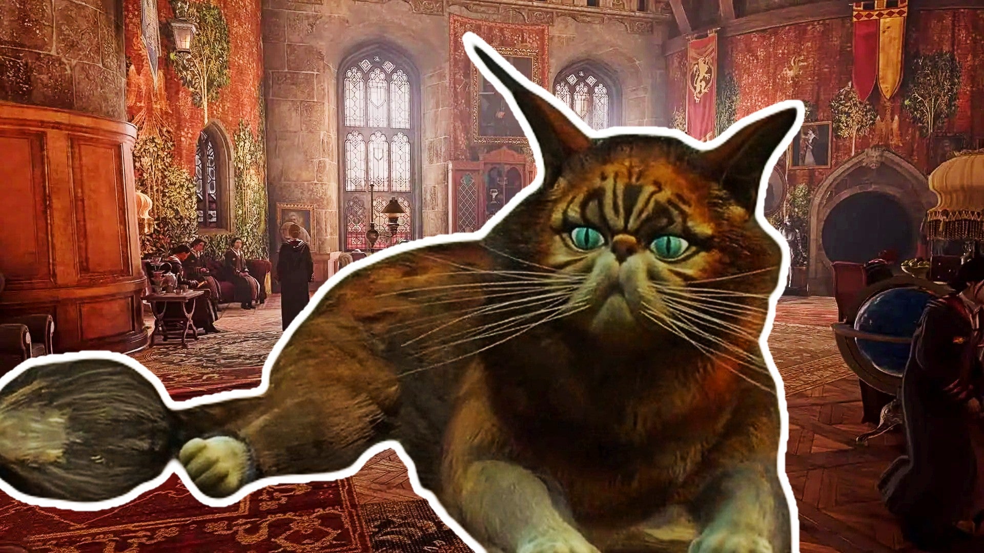 Hogwarts Legacy Überlegt euch lieber zweimal, ob ihr die Katzen streicheln wollt Eurogamer.de