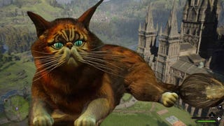 Hogwarts Legacy: Überlegt euch lieber zweimal, ob ihr die Katzen streicheln wollt