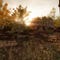 Screenshots von State of Decay: Year One Survival Edition