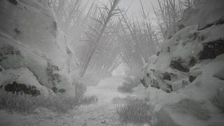 Sean Bean's Winter Vacation: Brief Thoughts On Kholat