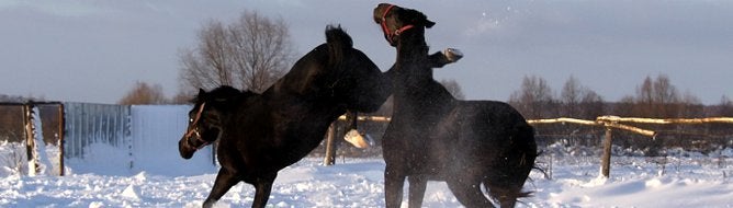 Wednesday Shorts: Dog fighting, DDO, Madden, God Hand, Angry Birds, Romero, sales