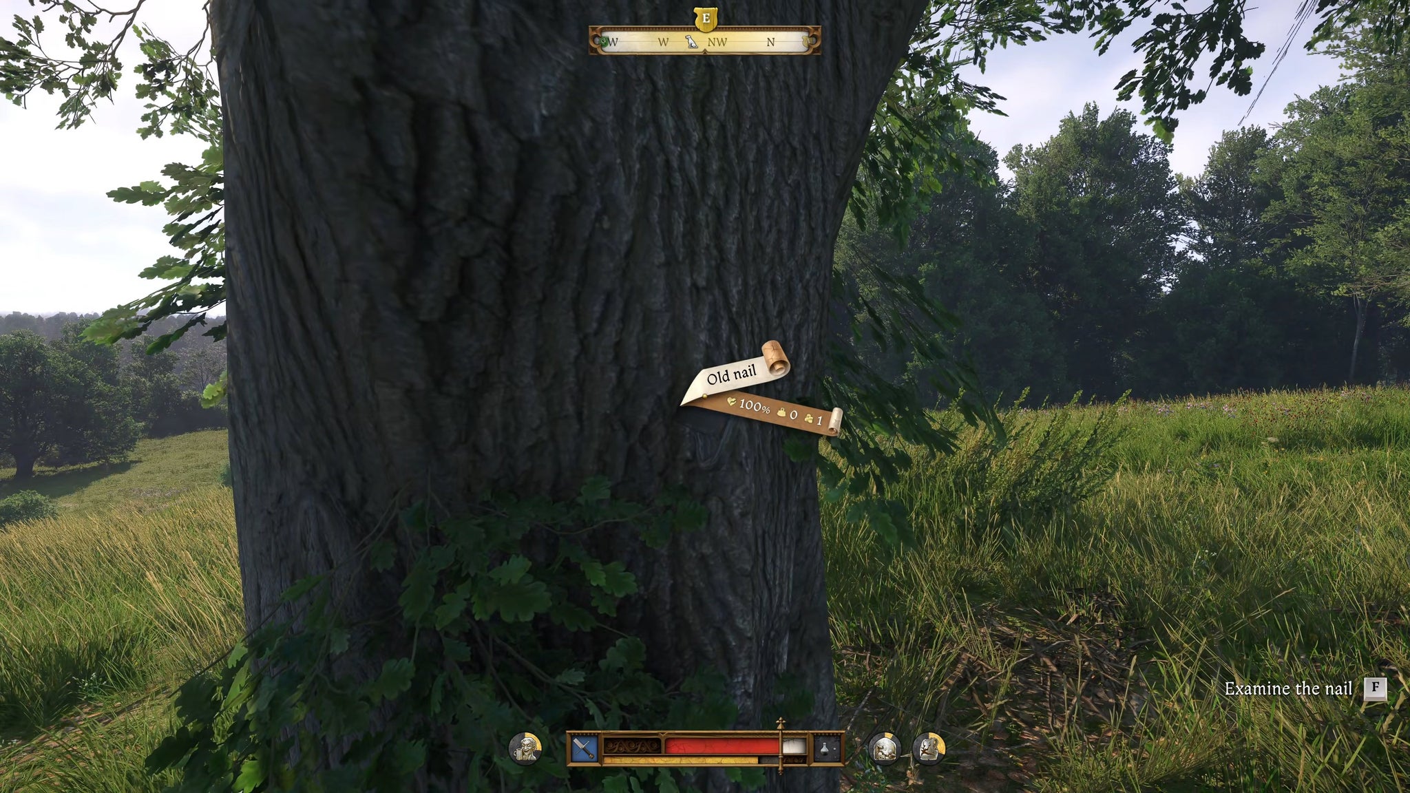 The player in Kingdom Come: Deliverance 2 finds a border nail hammered into a tree trunk in the middle of a pasture. - 5