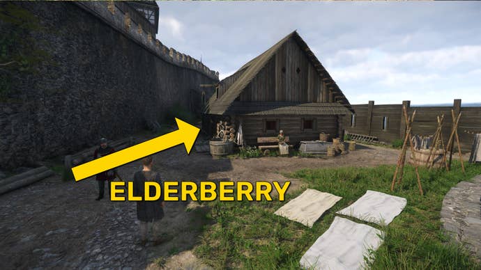 The player in Kingdom Come: Deliverance 2 walks towards the Carpenter’s house in Trosky Castle. A yellow arrow marked “Elderberry” points towards the house entrance.