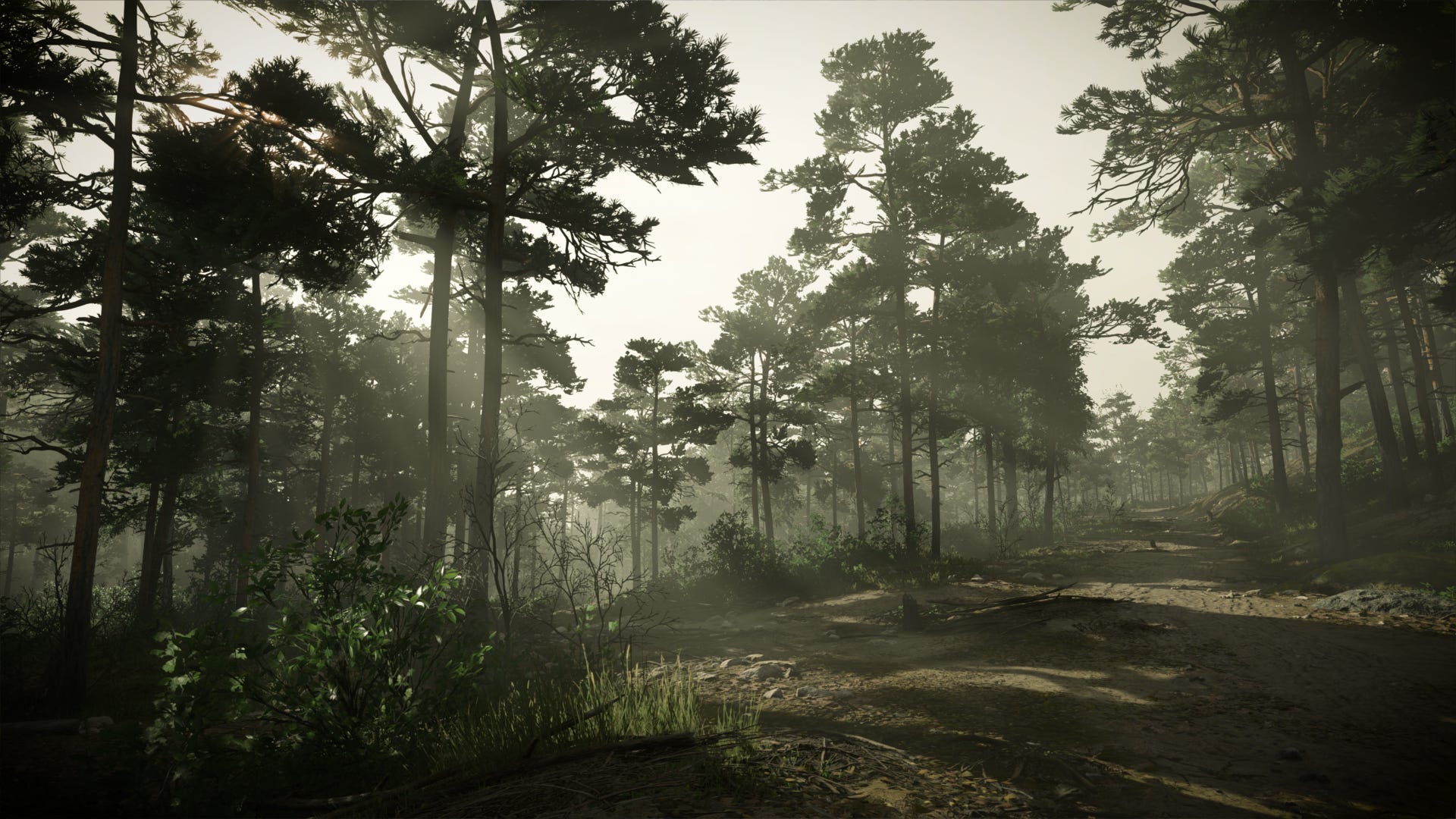 Kingdom Come Deliverance 2: Find out about poaching in the Kopanina forests
