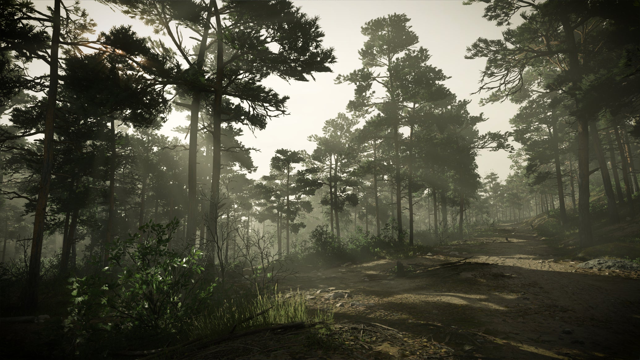 An establishing shot of a foggy forest in Kingdom Come: Deliverance 2. - 1