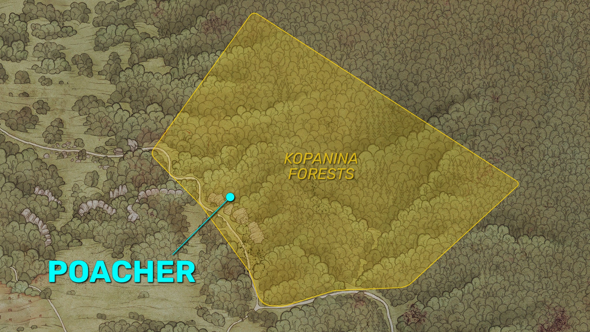 Part of a forested area of the Trosky map in Kingdom Come: Deliverance 2, with the Kopanina Forests and the exact location of the poacher marked in yellow and cyan respectively. - 4