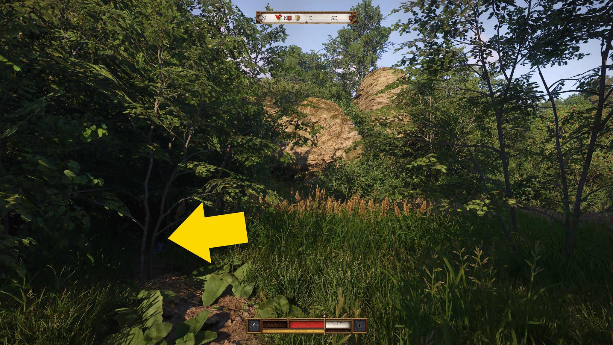 A screenshot of a swamp island in Kingdom Come Deliverance 2 with a yellow arrow pointing to the Zhelejov Marshes map solution - 6