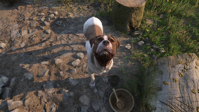 Mutt from Kingdom Come Deliverance 2, demanding food