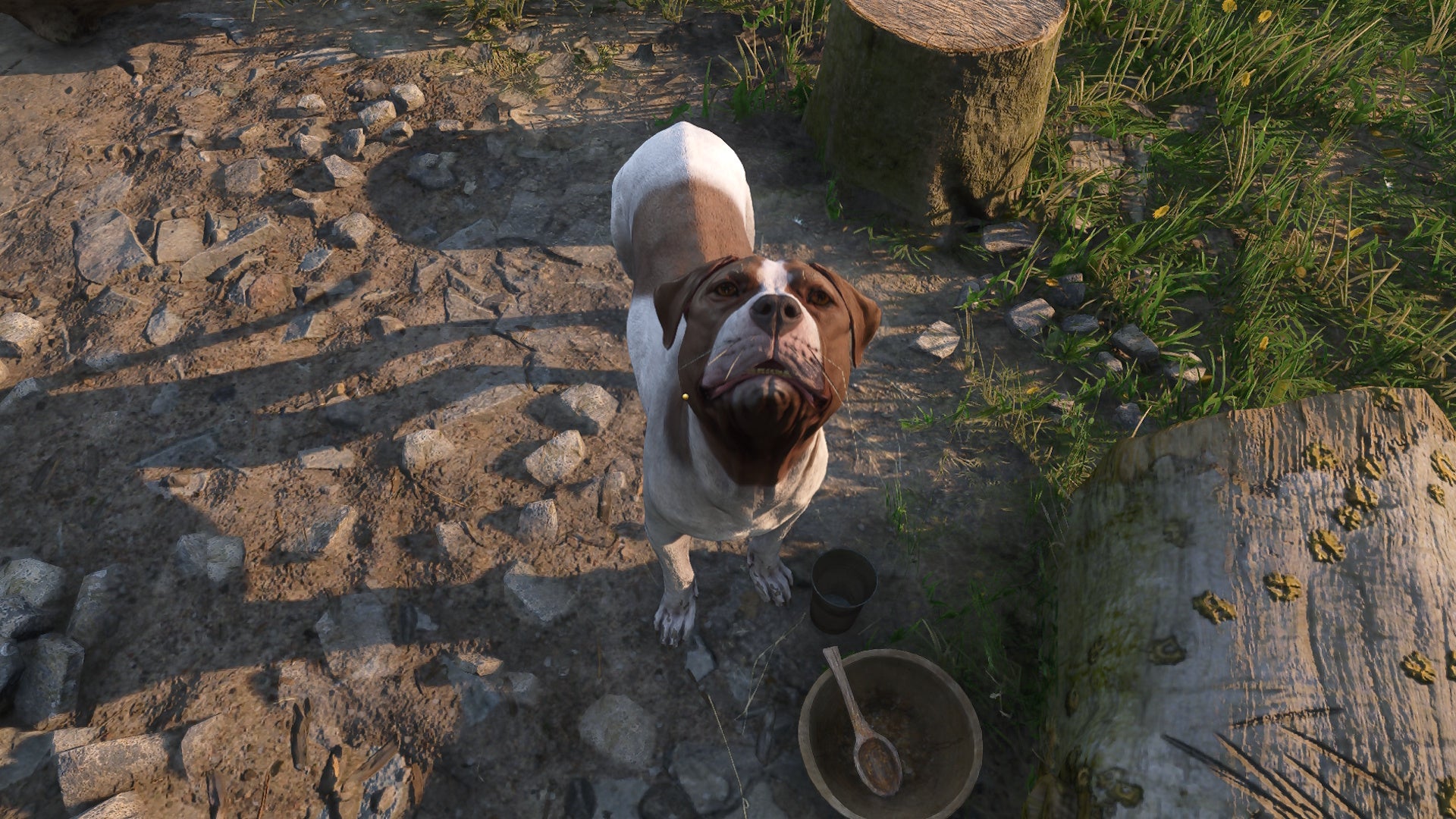 Mutt from Kingdom Come Deliverance 2, demanding food - 1