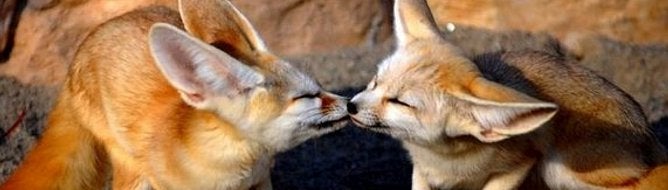 Saturday Shorts: Dragon Quest, Sims 3, Trauma, Home, ICO, sales