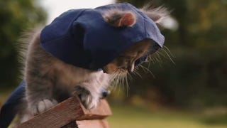 This Assassin's Kittens short is impossibly cute
