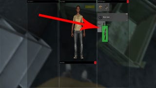 DayZ guide - the inventory