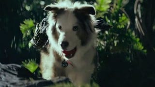 TV spot a psí parodie na Shadow of the Tomb Raider