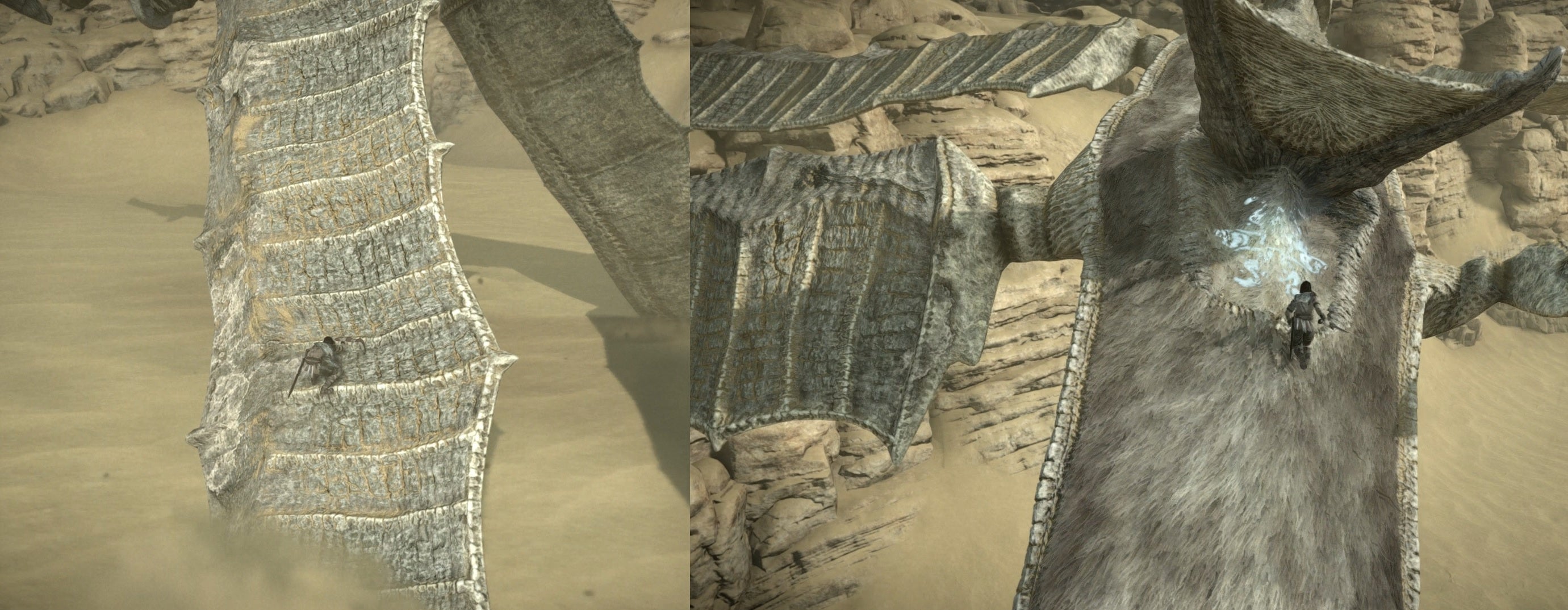 Shadow of the Colossus - kolos 13: trasa i walka | Eurogamer.pl
