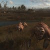 S.T.A.L.K.E.R.: Call Of Pripyat screenshot