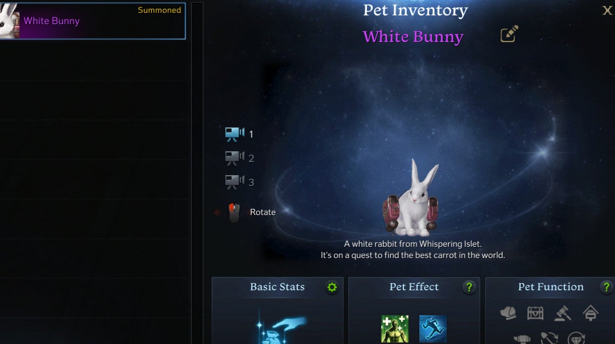Lost Ark - pets: co robią, jak zdobyć | Eurogamer.pl