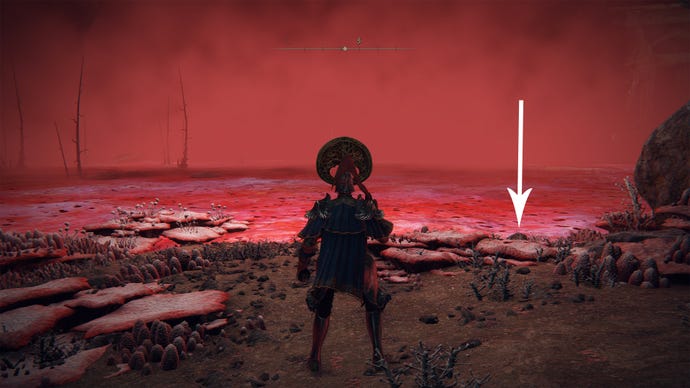 The Lake of Rot map location in Elden Ring.