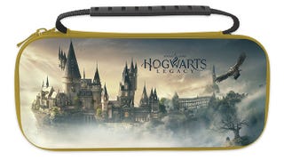 Velké přepravní pouzdro s motivem Hogwarts Legacy – Landscape