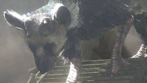 The Last Guardian may support Move