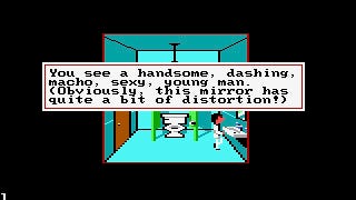 Romancing The Code: the 'hooker' scene in Leisure Suit Larry