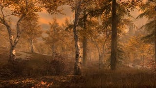 Les jako malovaný. Videosrovnání PS3 a PS4 Skyrimu