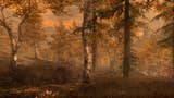 Les jako malovaný. Videosrovnání PS3 a PS4 Skyrimu