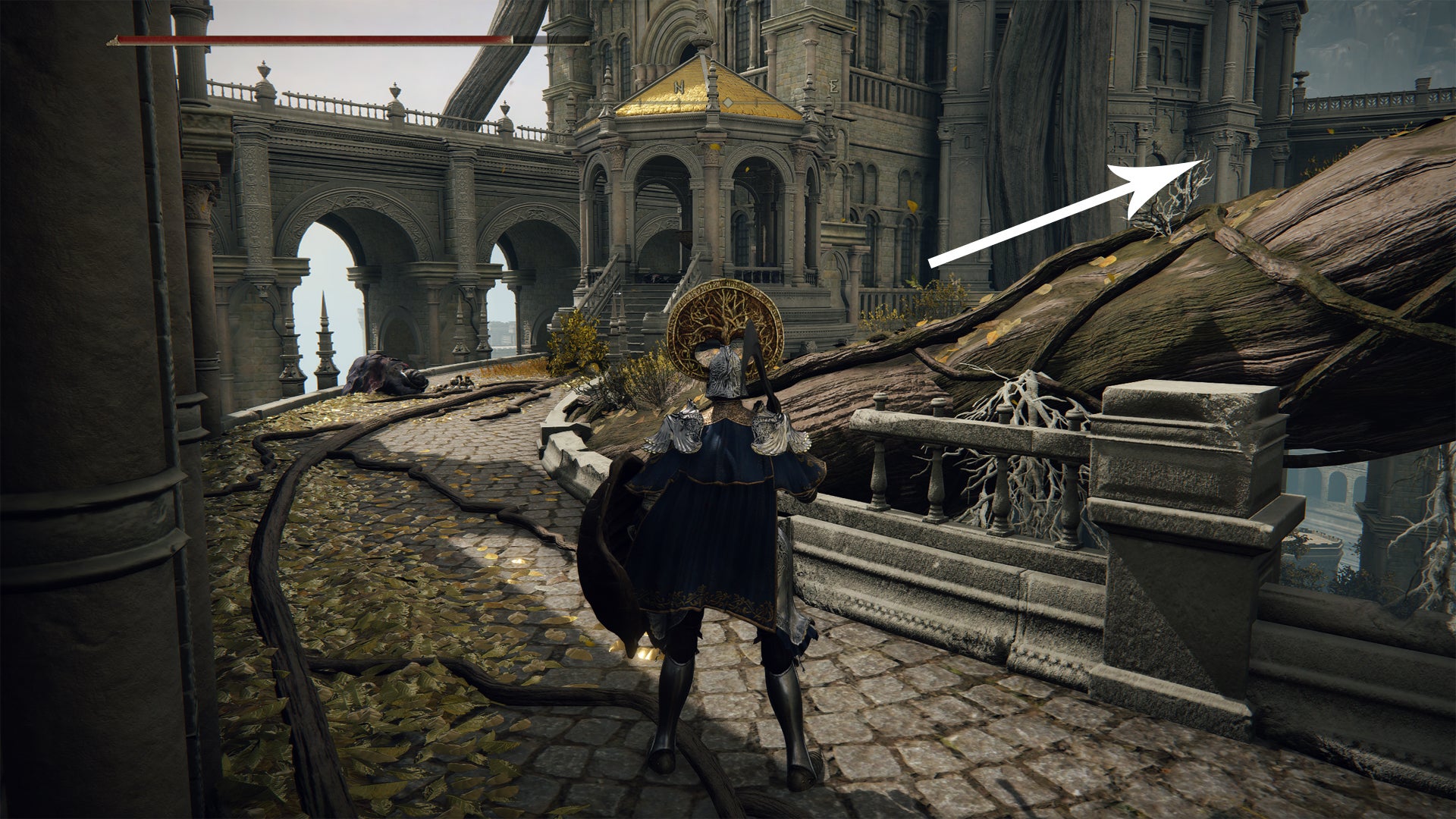 A path with roots next to it in Leyndell, the Elden Ring capital. - 13