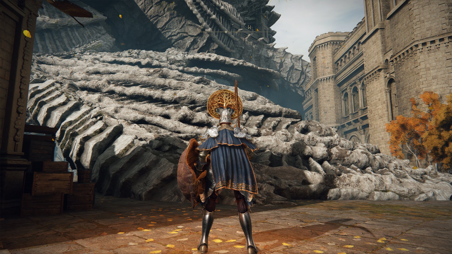 A huge fossil in Leyndell, the Elden Ring capital. - 10