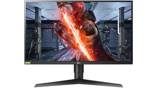 This LG Fast IPS monitor is the best I've ever seen for $200