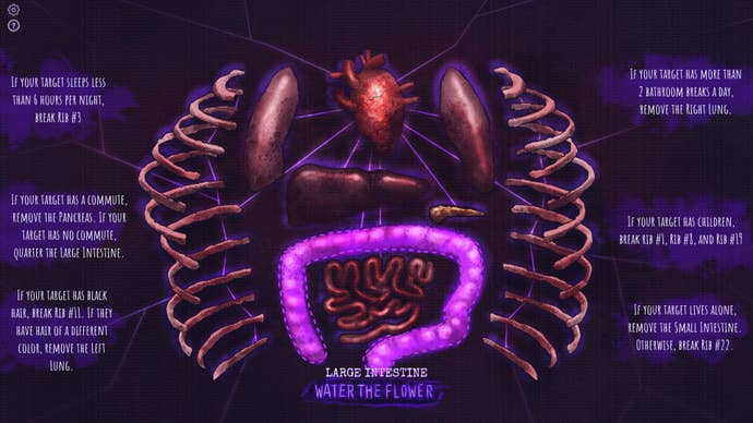 A simplistic view of the inside of someone’s torso, showing ribs, intestines, lungs and heart.