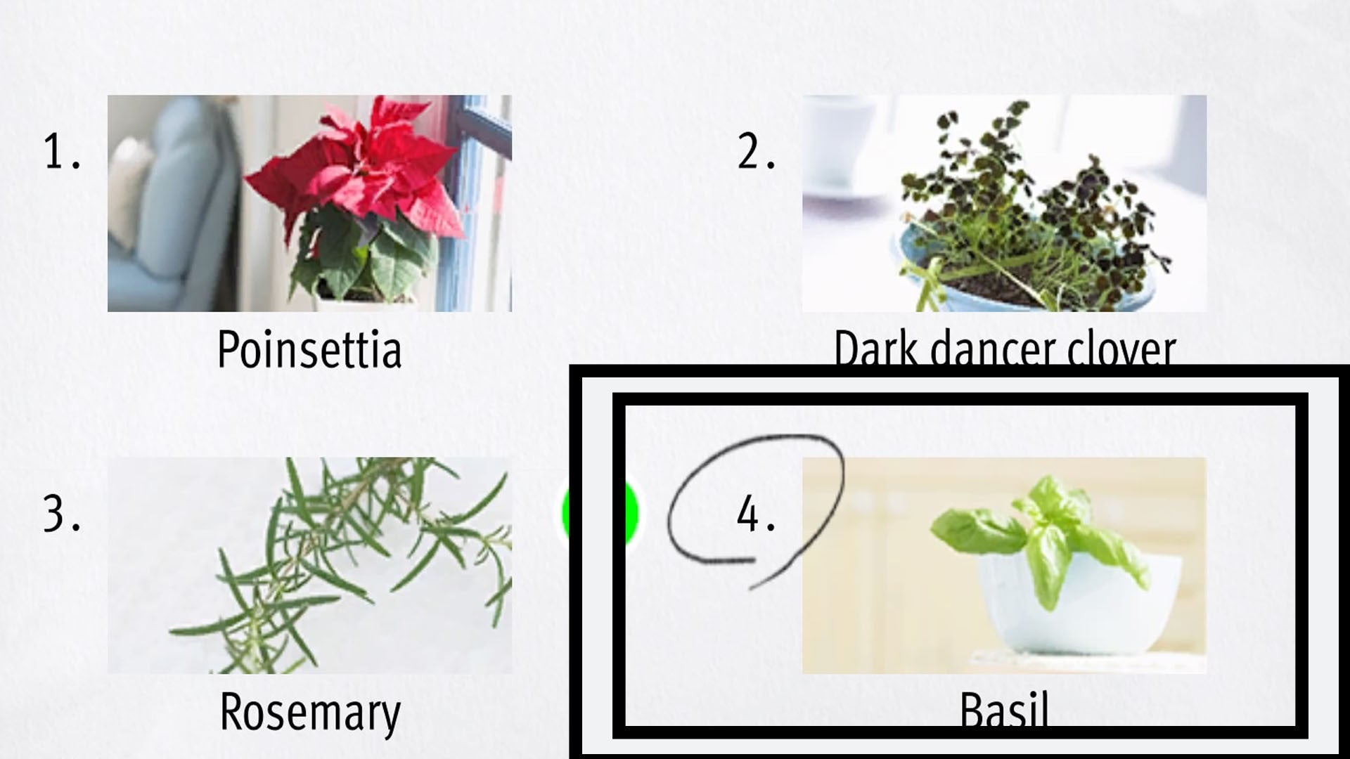 Like a Dragon Infinite Wealth, a bowl of green Basil has been circled.