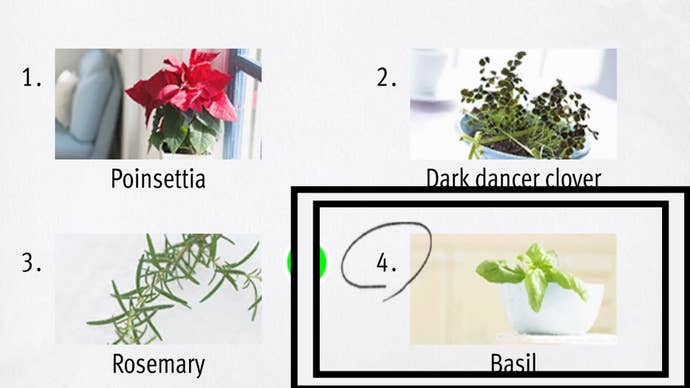 Like a Dragon Infinite Wealth, a bowl of green Basil has been circled.