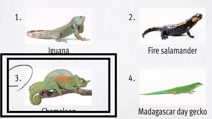 Like a Dragon Infinite Wealth, an image of a green and orange Chameleon has been circled in the bottom left corner.